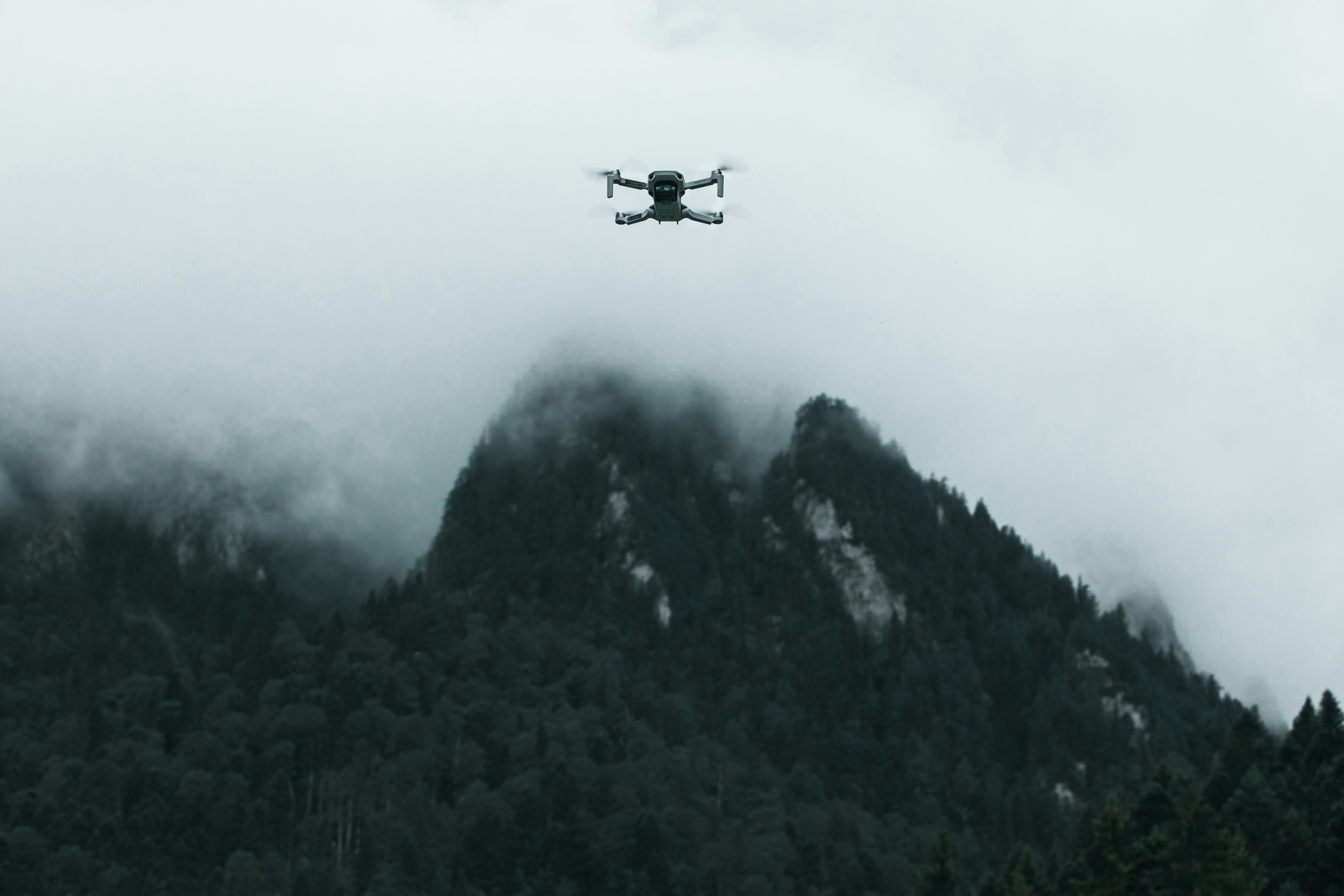 black helicopter flying over green trees covered with fog